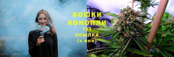 сатива Михайлов