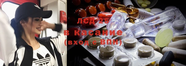 сатива Михайлов