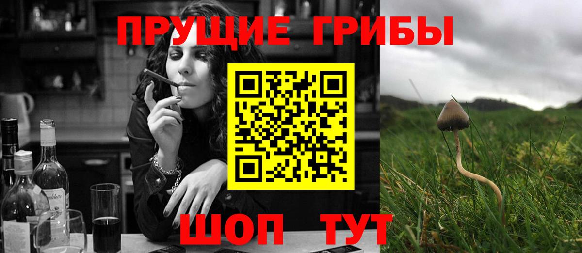Псилоцибиновые грибы MAGIC MUSHROOMS  Вход с VPN  Хабаровск 